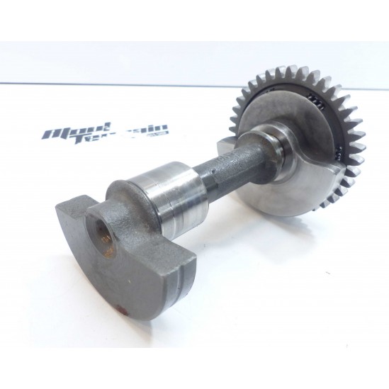 Arbre d'équiibrage Suzuki 250 TSX