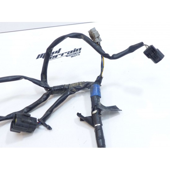 Demi faisceau Kawasaki 450 KXF 2010