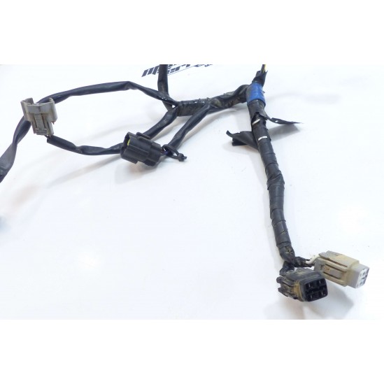 Demi faisceau Kawasaki 450 KXF 2010