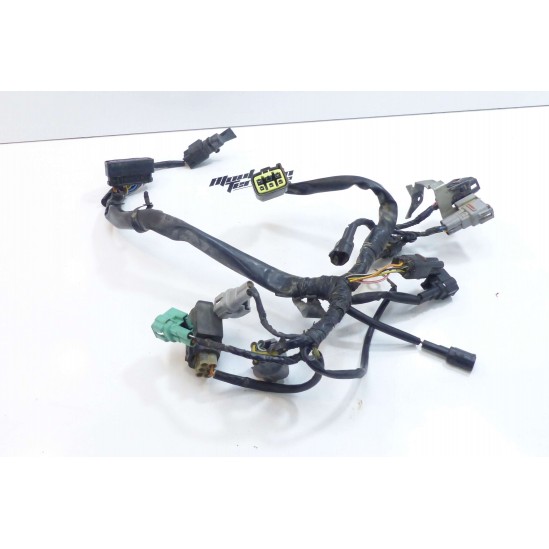 Demi faisceau Kawasaki 450 KXF 2010