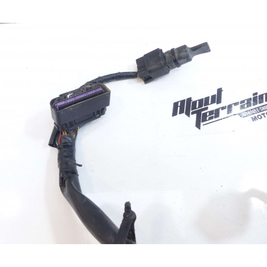 Faisceau Kawasaki 450 KXF 2010