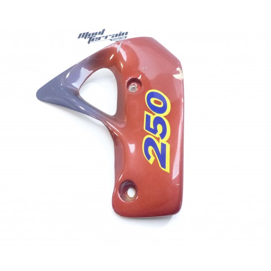 Carénage Aprilia climber