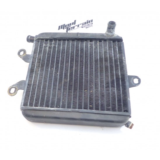 Radiateur aprilia climber