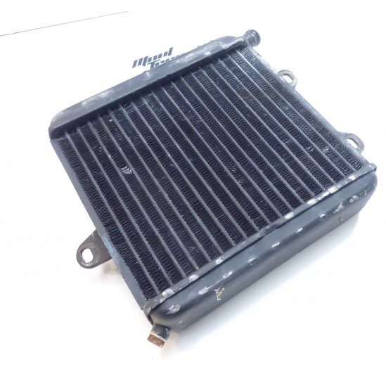 Radiateur aprilia climber