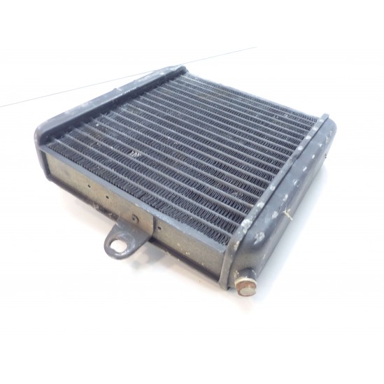 Radiateur aprilia climber