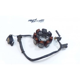 Stator Honda 250 TRX FOURTRAX