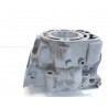 Cylindre a reconditionner 250 KDX