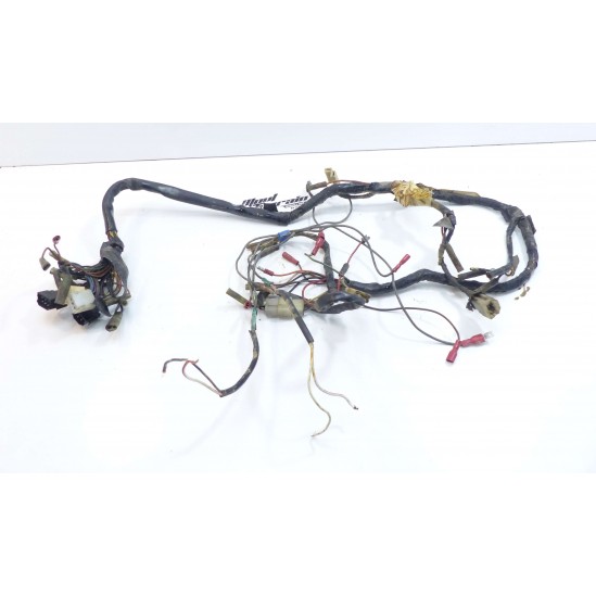 Faisceau Yamaha 125 DTMX