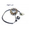 Stator , Générateur Sherco 300 SEF 2013