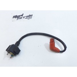 Bobine Honda 200 TLR