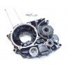 Carter moteur gauche Honda 200 TLR