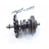 Excentrique de valves Gas-gas 300 EC 2005 / Governor valve