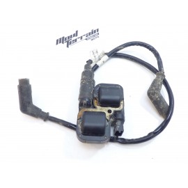 Bobine Can-am 650 Renegade 2022