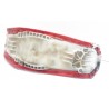 Selle Honda 125 CRF 2017