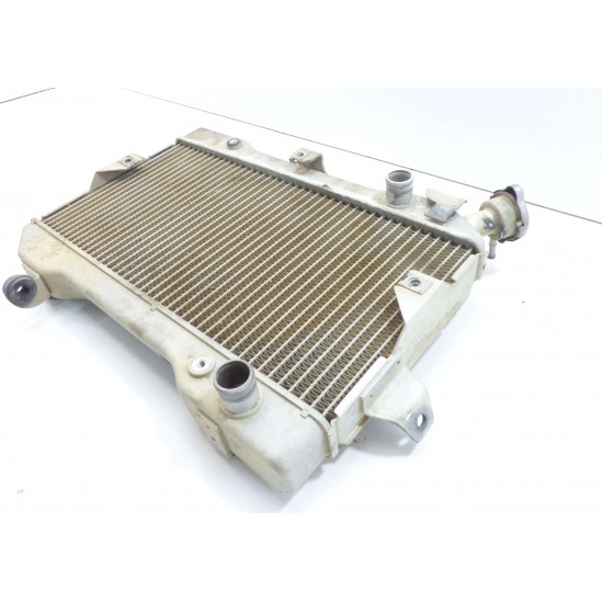 Radiateur 450 ltr