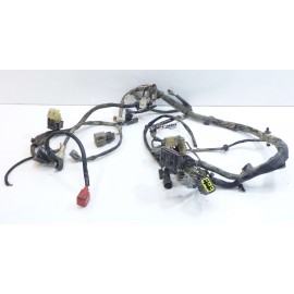 Faisceau 450 ltr 2009