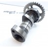 Arbre à cames 450 ltr 2009 / camshaft