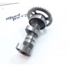 Arbre à cames 450 ltr 2009 / camshaft