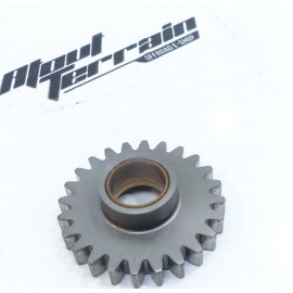 Pignon 250 exc 2004