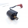 Bobine Yamaha 250 yz 1996 / Ignition coil