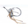 Carburateur 250 WRF 2007 / carburetor