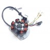 Allumage adaptable Gas-gas 250 EC 2005