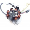 Allumage adaptable Gas-gas 250 EC 2005