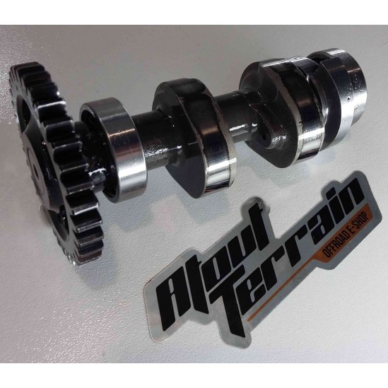 Arbre à cames 250 tc 2009 / camshaft