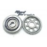 Lot pignons 200 WR / gear wheel