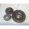 Lot pignons de renvoi 250 Pampera 00 / gear wheel