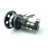 Arbre à cames TM 250 FI 2004 / camshaft