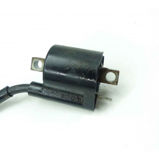 Bobine Yamaha 350 YFM Raptor / Ignition coil