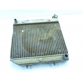 Radiateur Honda 450 TRX 2005