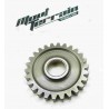 Pignon 250 KDX / gear wheel