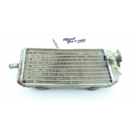 Radiateur 250 EC 00