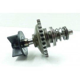 Excentrique de valves 250 TM 1998