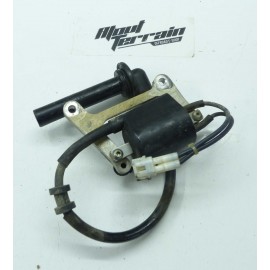 Bobine et antiparasite 450 YZF 2014 / Ignition coil