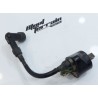 Bobine 250 cr 1999 / Ignition coil