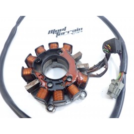 Stator d'allumage 700 freedom